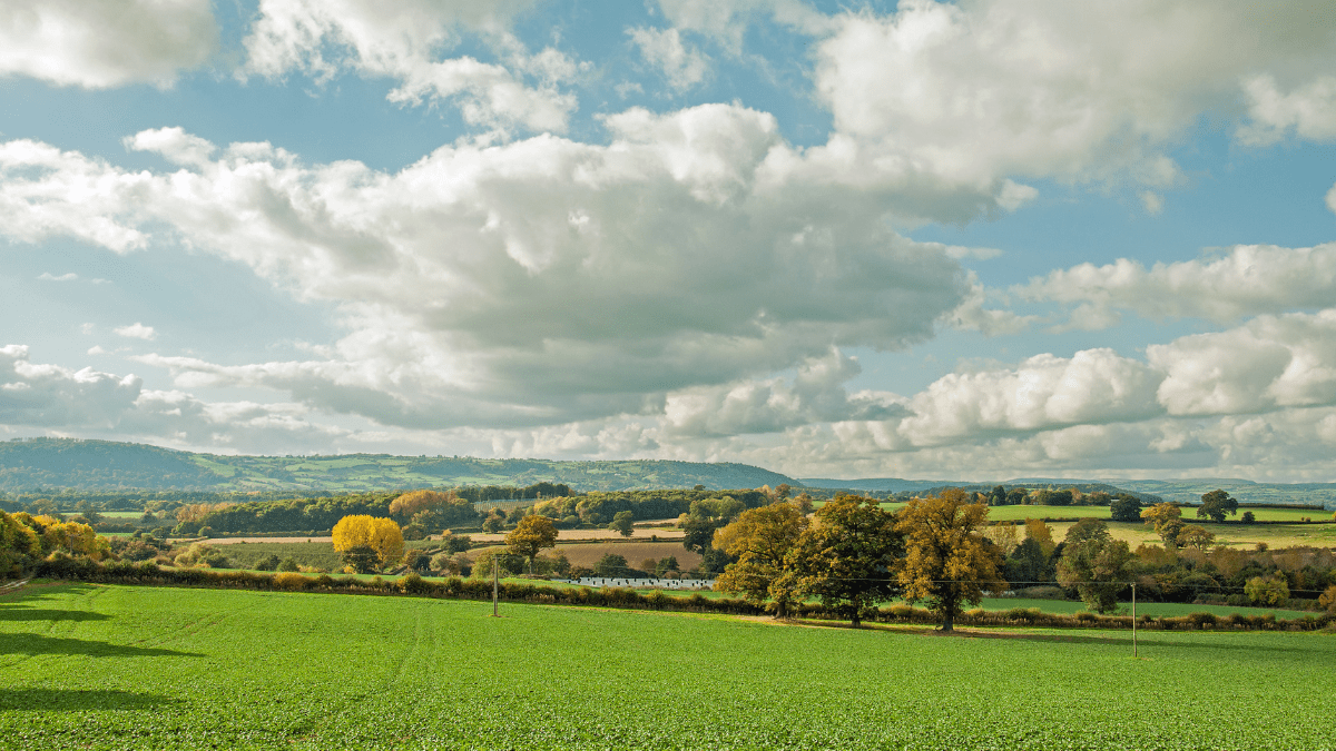 Autumn Countryside in England