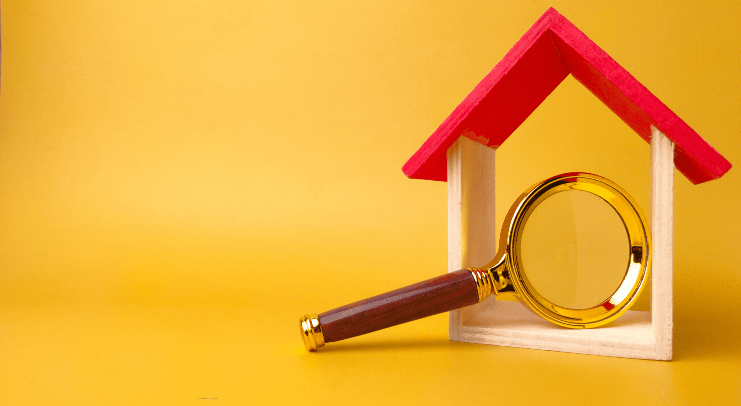 Searches and Surveys: What's the difference